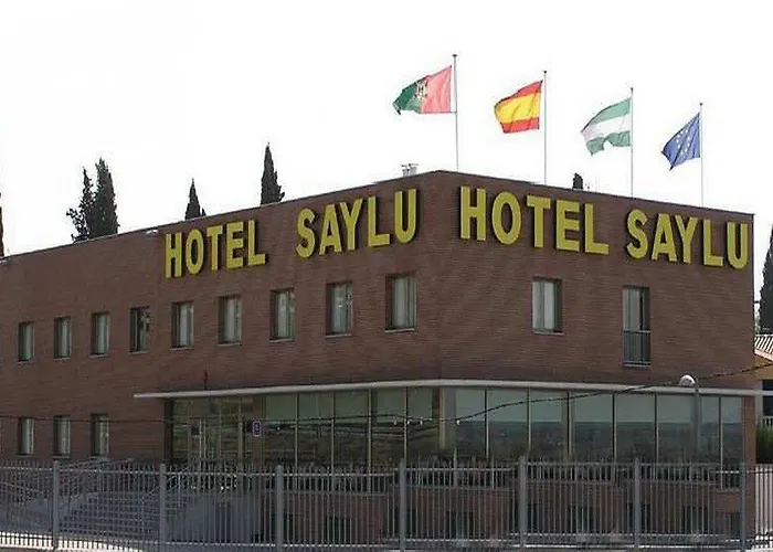 Saylu 4*